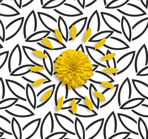 Yellow flower and petals on the black white floral background. Rudbeckia. Flat lay