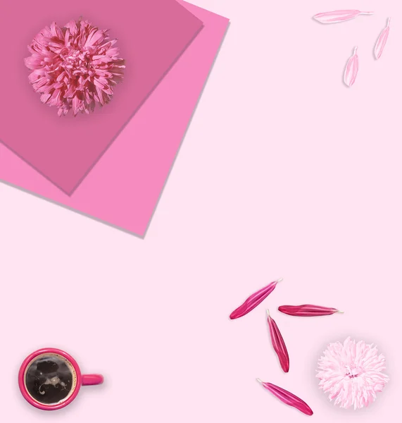 Flowers and cup of coffee. Flat lay. Pink and white asters