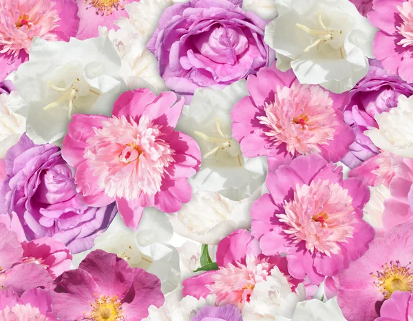 SEAMLESS pink white flower texture. Peony pattern. Peony, bell, wild rose.