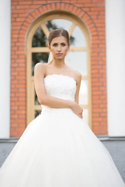 Bride on a brick wall background. wedding Dress