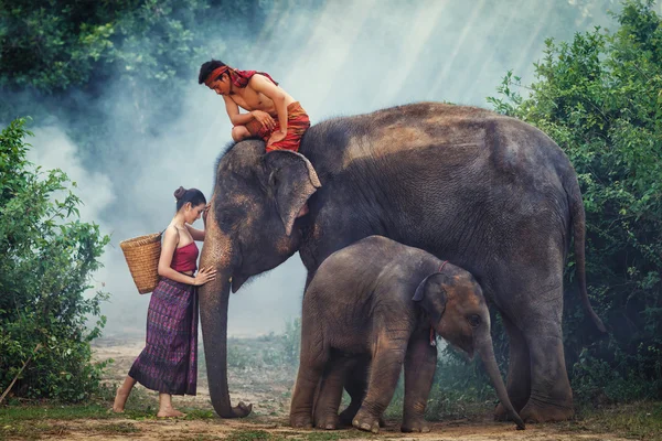 Concept of elephant family and asian couple in the jungle