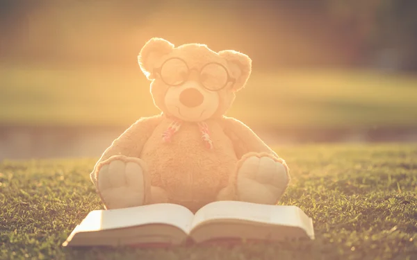 Lovely brown teddy bear wear glasses with book sitting on grass