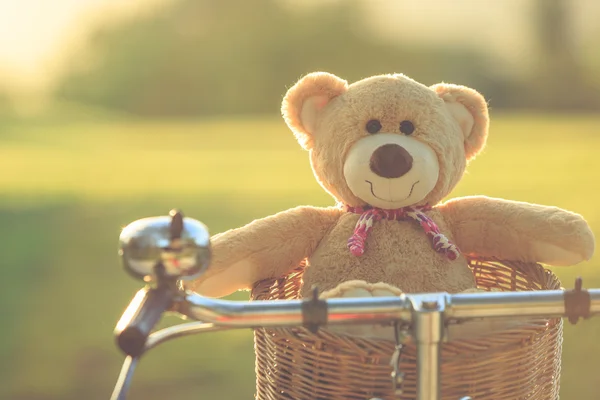 Lovely brown teddy bear in rattan basket on vintage bike in gree