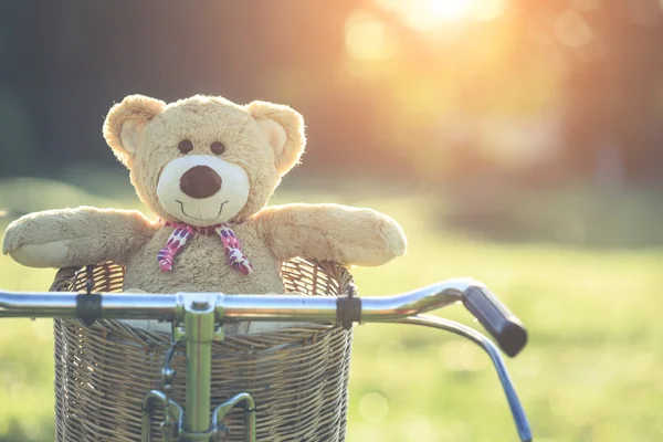 Lovely brown teddy bear in rattan basket on vintage bike in gree
