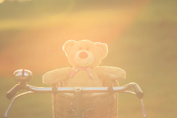 Lovely brown teddy bear in rattan basket on vintage bike in gree