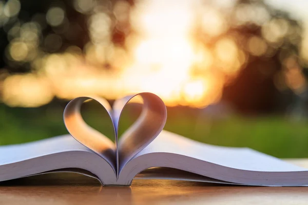 Close up book on table in sunset time