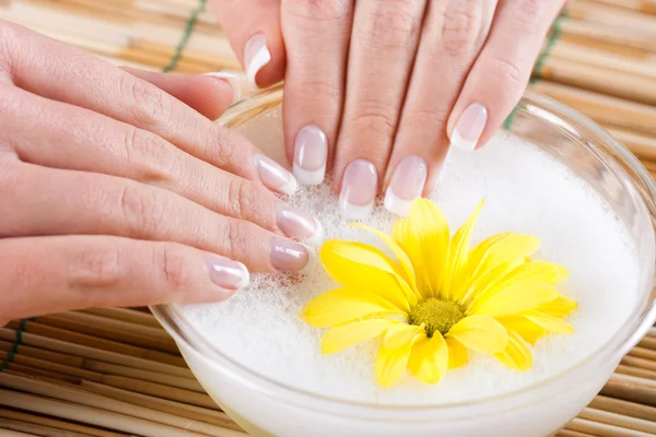 Close up of female hands having a manicure and spa treatment