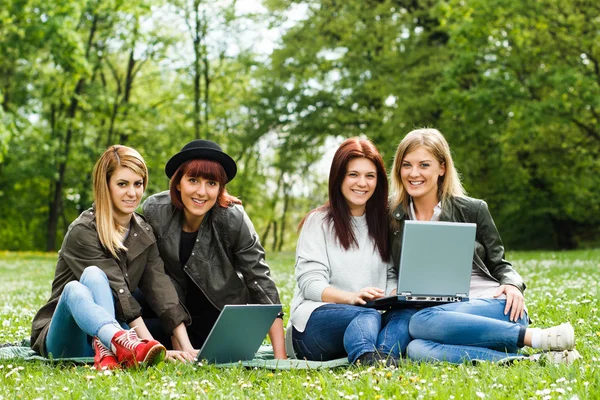 Four young girls sitting in the park and using laptops