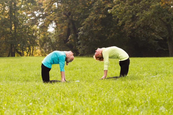 Friends practicing yoga in park