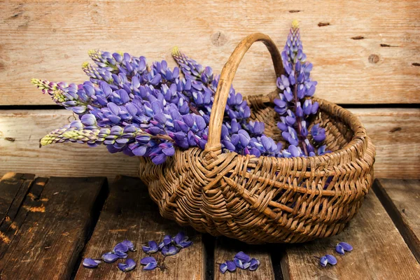 Blue flowers in a basket