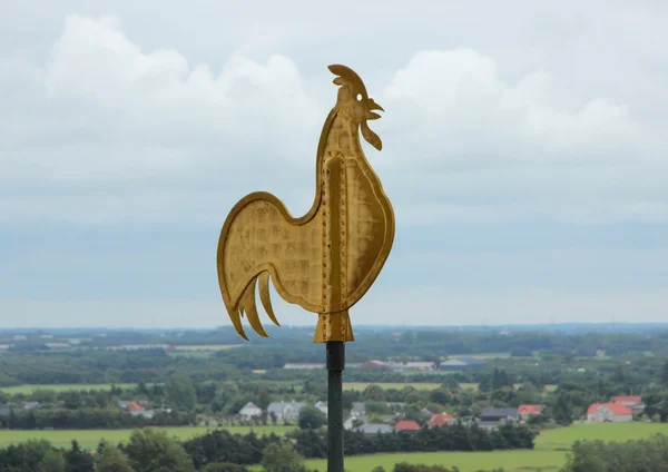 Weather Vane Wind Indicator of Gold with Landscape