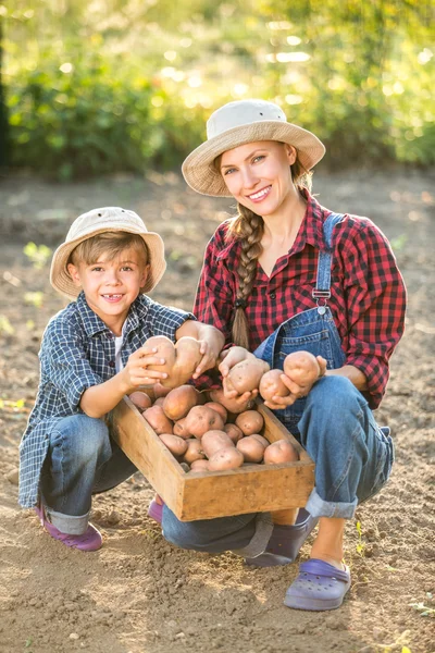 Family working in summer garden