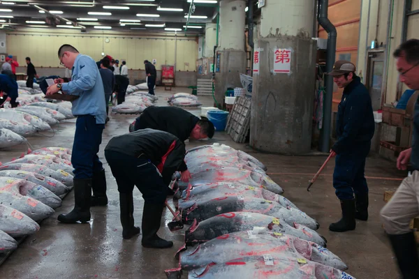 Tuna inspector at Famous Tuna auction, Tsukiji fish market - Tokyo, Japan