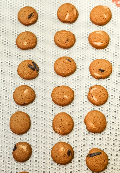 Small round cookies