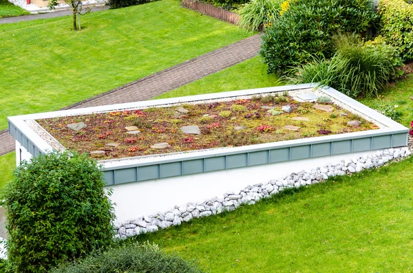 Roof garden, green roof