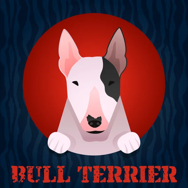 Bull terrier