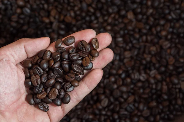 Roasted coffee beans on hands, can be used as a background