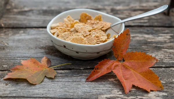 Healthy breakfast in nature with fall leafs