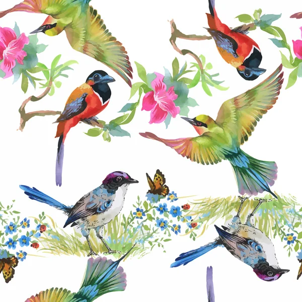 Tropical summer flowers and exotic birds