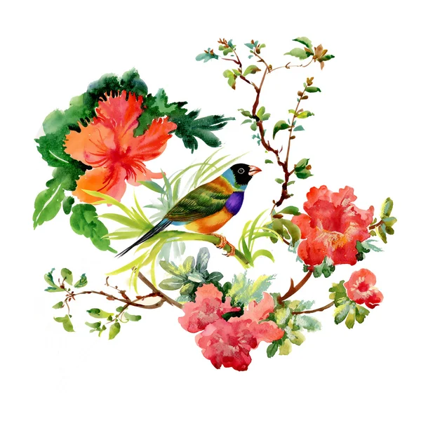 Exotic bird with flowers