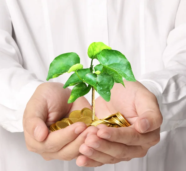 Man holding plant sprouting from a handful of coins