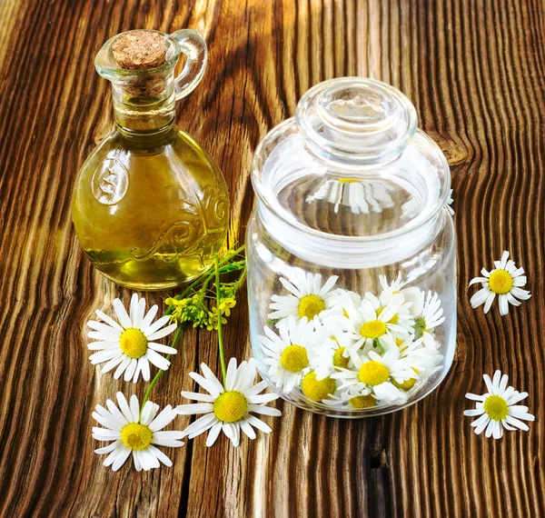 The picked camomile flowers in a glass jar