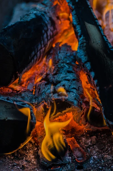 Fire, charcoal, temperature, flame, embers, burning, wood, bonfire, ash, campfire, orange, yellow
