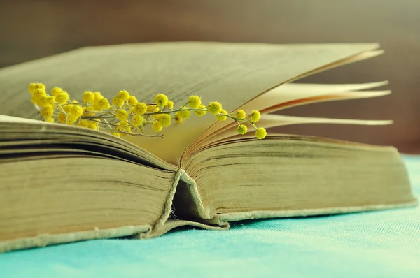Open worn book with yellow mimosa flowers on the table under warm light.  - spring still life in vintage tones