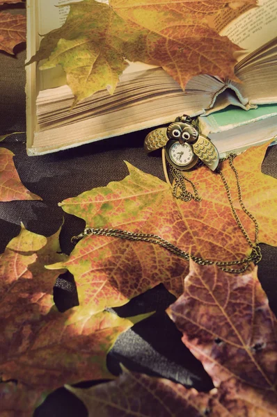 Vintage autumn still life - old books with clocks near dry maple leaves