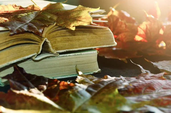 Vintage autumn still life - old books on the table near dry maple leaves