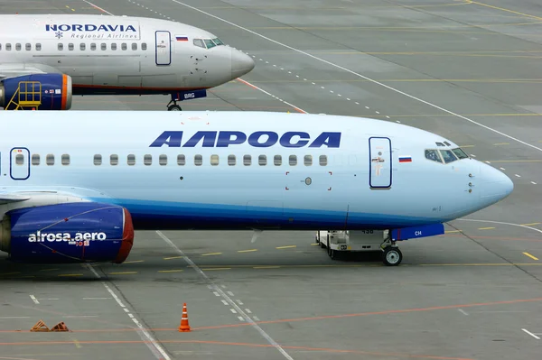 Alrosa and Nordavia Airlines Boeing 737-800 and 737-53C aircrafts at the parking in Pulkovo International airport in Saint-Petersburg, Russia