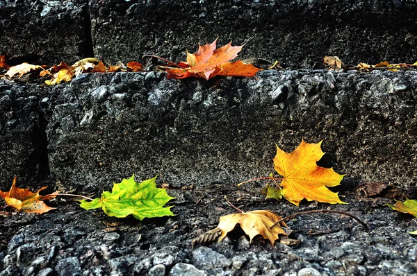City autumn - fallen maple leaves on the stone staircase