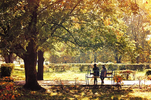 Autumn landscape - city park in sunny weather
