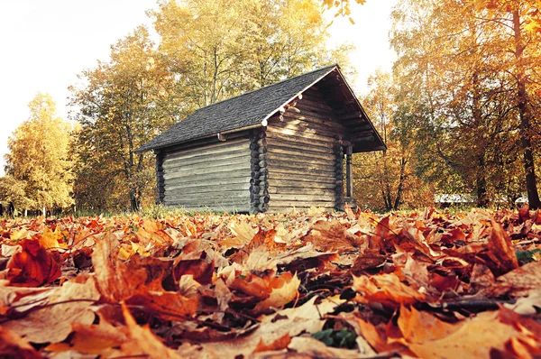Small wooden house  in the forest - autumn colorful landscape