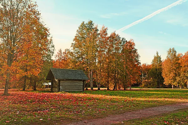 Wooden house in the forest - autumn rural picturesque landscape in sunny weather