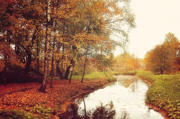 Beautiful autumn landscape, vintage processing