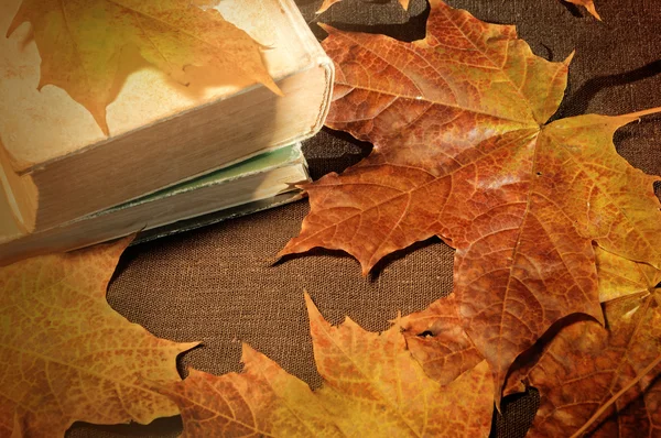 Vintage autumn still life - old books on the table near yellow maple leaves