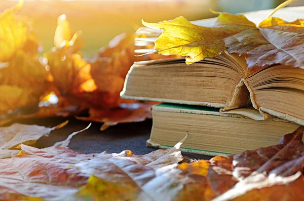 Vintage autumn still life - old books on the table near dry maple leaves