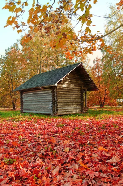 Little wooden house  in the forest - autumn colored landscape