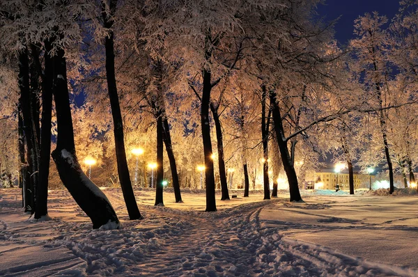 The winter evening in the city park