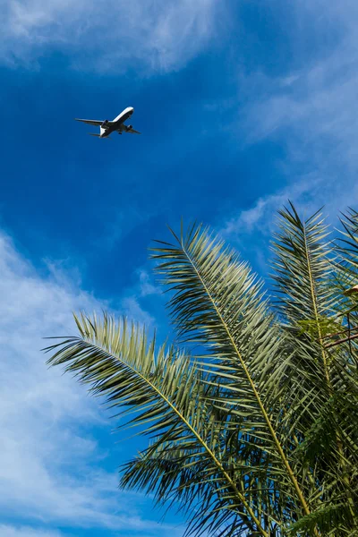 Passenger Jet departs Egypt