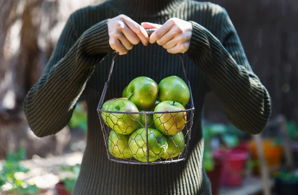 Female in warm clothing holding basket of apples