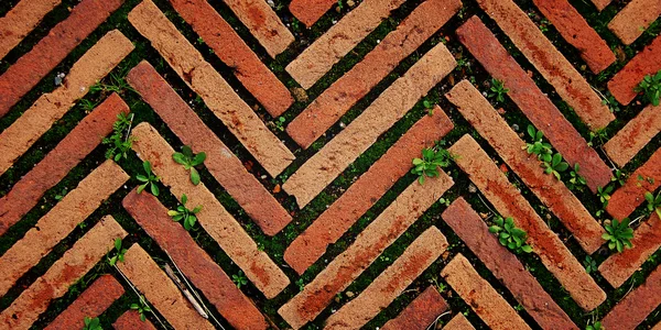 Brick pavement in Rome. Roadway with grass. Aged.