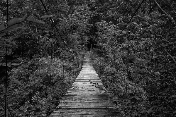 Long Suspension bridge