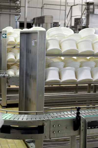Production line in a cheese factory