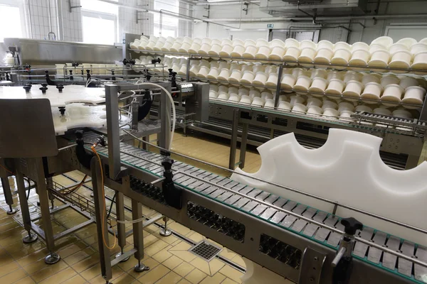 Production line in a cheese factory