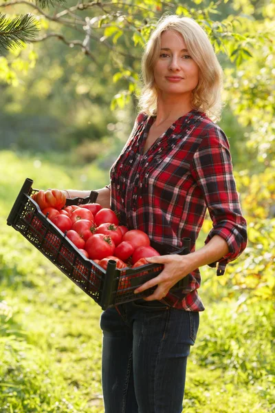 Woman holding a tomato box