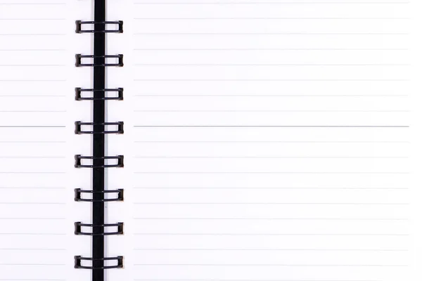 Blank realistic spiral notebook.