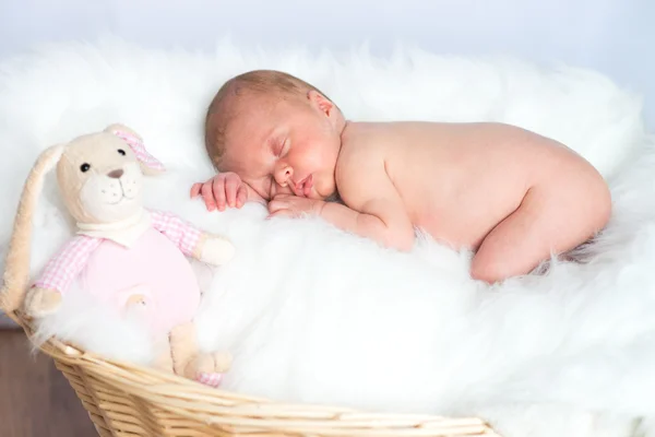 Newborn baby sleeping in basket with toy rabbit