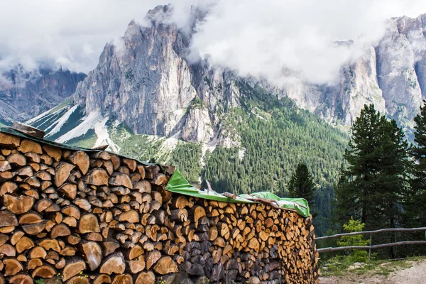 Pile of tree trunks